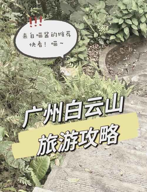 广州白云风景区游玩攻略大全最新?广州白云旅游攻略景点必去?-第4张图片-诗丽旅游网 广州白云风景区游玩攻略大全最新?广州白云旅游攻略景点必去?-第4张图片-诗丽旅游网
