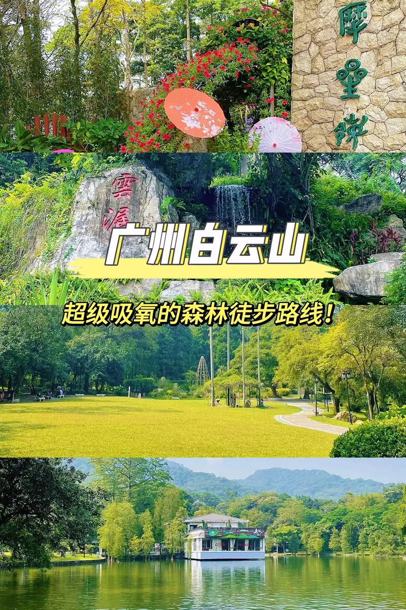 广州白云风景区游玩攻略大全最新?广州白云旅游攻略景点必去?-第5张图片-诗丽旅游网 广州白云风景区游玩攻略大全最新?广州白云旅游攻略景点必去?-第5张图片-诗丽旅游网