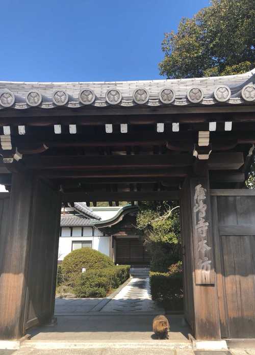 日本五日游旅游路线推荐,日本5日游路线-第5张图片-诗丽旅游网 日本五日游旅游路线推荐,日本5日游路线-第5张图片-诗丽旅游网