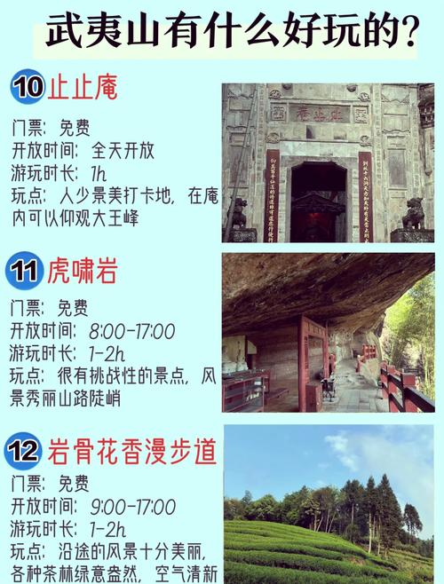 武夷山风景区游玩攻略,武夷山风景区游玩攻略图-第5张图片-诗丽旅游网 武夷山风景区游玩攻略,武夷山风景区游玩攻略图-第5张图片-诗丽旅游网