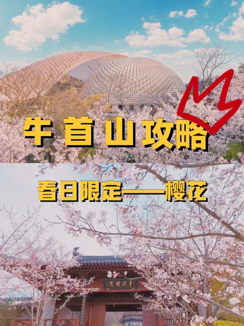 南京旅游必去景点大全攻略,南京旅游景点必去的地方-第2张图片-诗丽旅游网 南京旅游必去景点大全攻略,南京旅游景点必去的地方-第2张图片-诗丽旅游网