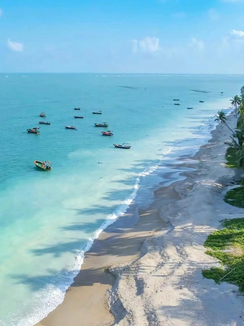 三亚旅行线路规划?三亚自由行路线规划?-第5张图片-诗丽旅游网 三亚旅行线路规划?三亚自由行路线规划?-第5张图片-诗丽旅游网