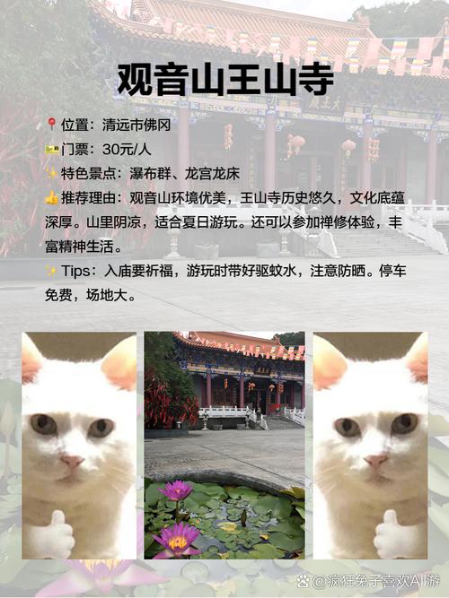 清远必去的景点有哪些,请问清远有什么景点?-第6张图片-诗丽旅游网 清远必去的景点有哪些,请问清远有什么景点?-第6张图片-诗丽旅游网