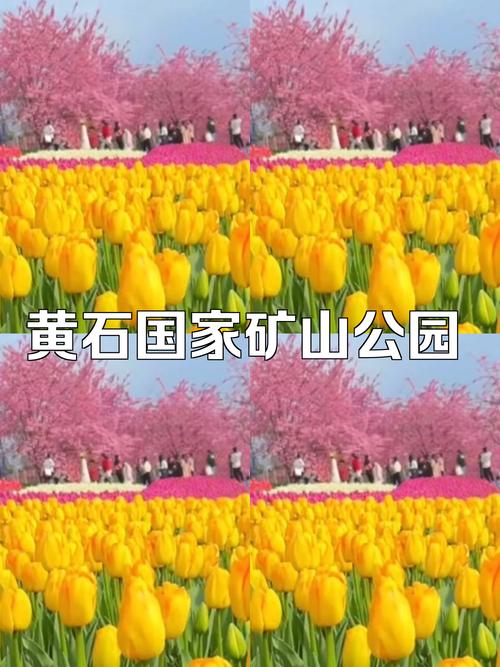 黄石旅游攻略一日游最佳路线推荐一下?黄石游玩攻略?-第3张图片-诗丽旅游网 黄石旅游攻略一日游最佳路线推荐一下?黄石游玩攻略?-第3张图片-诗丽旅游网