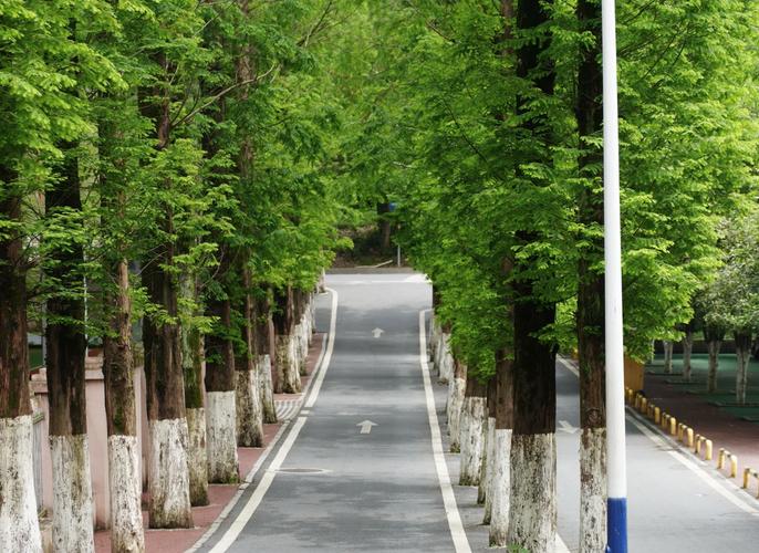 宜春市旅游攻略?宜春旅游景点排名前十?-第5张图片-诗丽旅游网 宜春市旅游攻略?宜春旅游景点排名前十?-第5张图片-诗丽旅游网