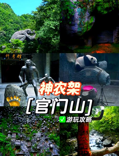 神农架旅游攻略自由行路线一日游多少钱,神农架旅游线路推荐?-第5张图片-诗丽旅游网 神农架旅游攻略自由行路线一日游多少钱,神农架旅游线路推荐?-第5张图片-诗丽旅游网