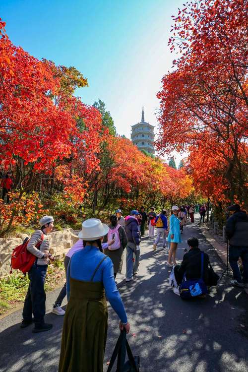 红叶谷主要景点是什么?红叶谷游玩攻略?-第3张图片-诗丽旅游网 红叶谷主要景点是什么?红叶谷游玩攻略?-第3张图片-诗丽旅游网
