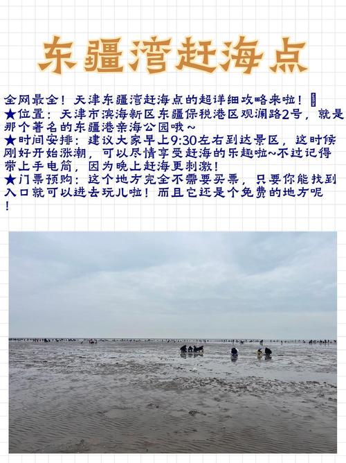 天津海边一日游攻略,天津海边旅游攻略 必玩的景点?-第4张图片-诗丽旅游网 天津海边一日游攻略,天津海边旅游攻略 必玩的景点?-第4张图片-诗丽旅游网