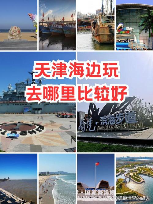 天津海边一日游攻略,天津海边旅游攻略 必玩的景点?-第5张图片-诗丽旅游网 天津海边一日游攻略,天津海边旅游攻略 必玩的景点?-第5张图片-诗丽旅游网