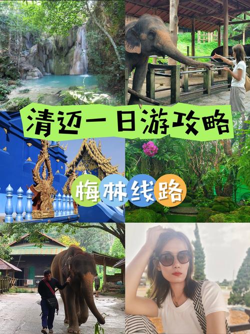 清迈一日游详细攻略,清迈游玩攻略-第4张图片-诗丽旅游网 清迈一日游详细攻略,清迈游玩攻略-第4张图片-诗丽旅游网