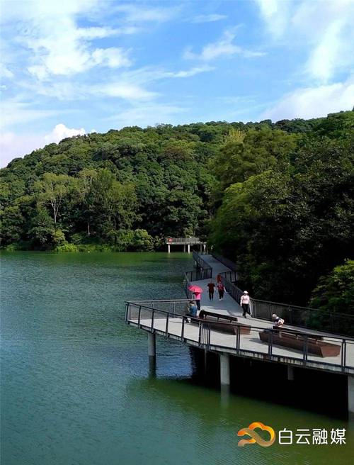 广州白云区景点推荐旅游景点,广州白云区主要景点?-第4张图片-诗丽旅游网 广州白云区景点推荐旅游景点,广州白云区主要景点?-第4张图片-诗丽旅游网