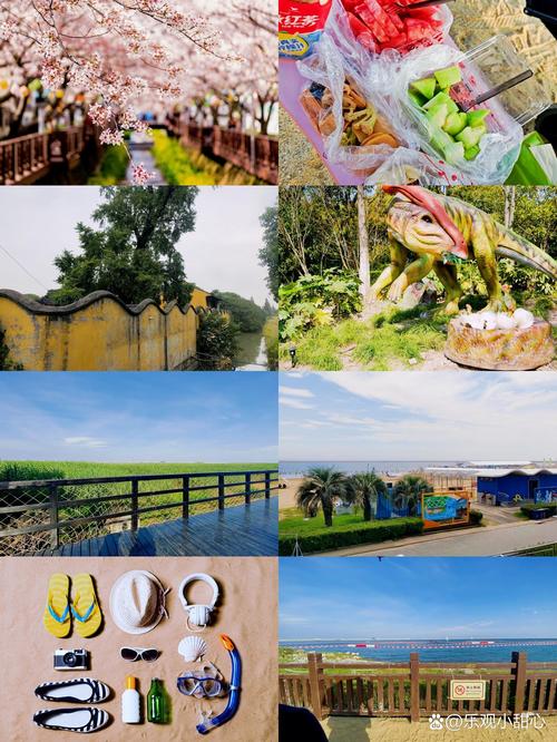 普陀旅游必去的景点,普陀景点游玩攻略-第5张图片-诗丽旅游网 普陀旅游必去的景点,普陀景点游玩攻略-第5张图片-诗丽旅游网