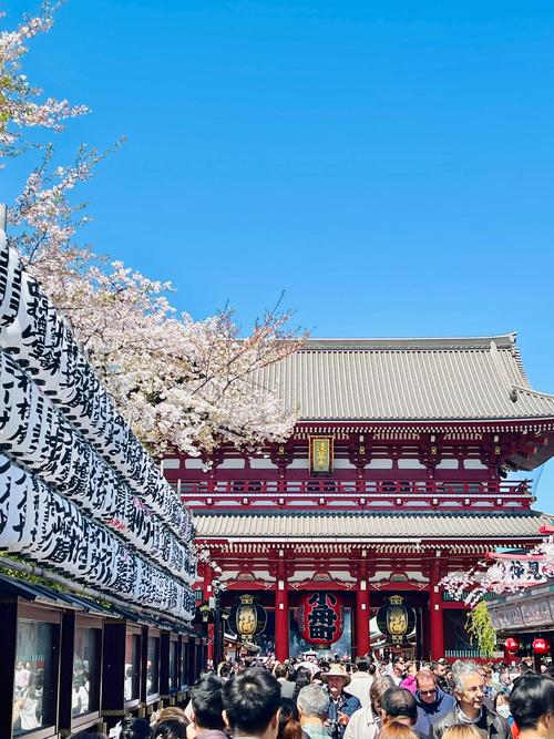 东京旅游景点排名前十?东京旅游胜地?-第2张图片-诗丽旅游网 东京旅游景点排名前十?东京旅游胜地?-第2张图片-诗丽旅游网