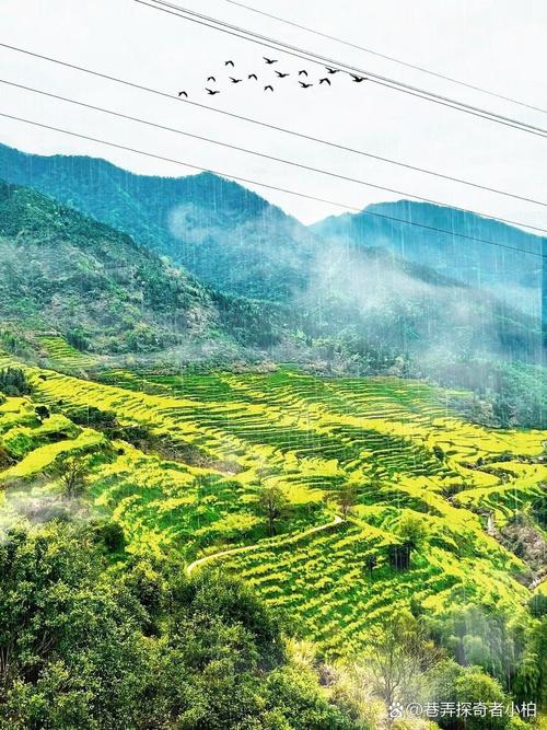 江西旅游攻略最佳路线,江西旅游路线推荐-第5张图片-诗丽旅游网 江西旅游攻略最佳路线,江西旅游路线推荐-第5张图片-诗丽旅游网