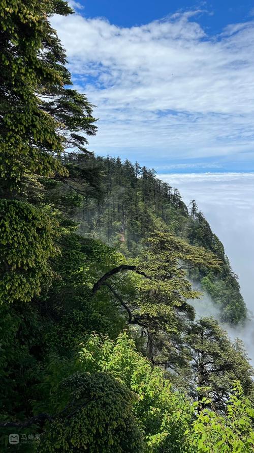 瓦屋山自由行攻略,瓦屋山自助游攻略介绍-第2张图片-诗丽旅游网 瓦屋山自由行攻略,瓦屋山自助游攻略介绍-第2张图片-诗丽旅游网