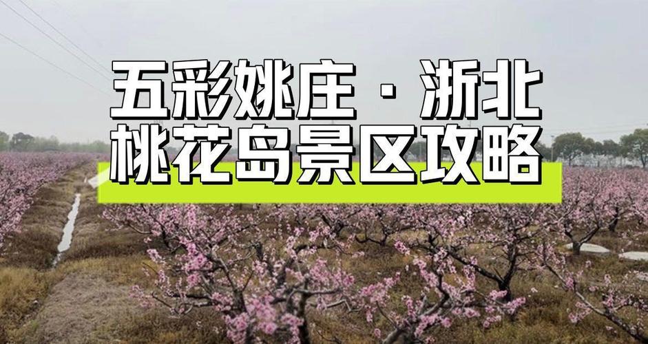 桃花岛一天旅游攻略?桃花岛 旅游?-第5张图片-诗丽旅游网 桃花岛一天旅游攻略?桃花岛 旅游?-第5张图片-诗丽旅游网