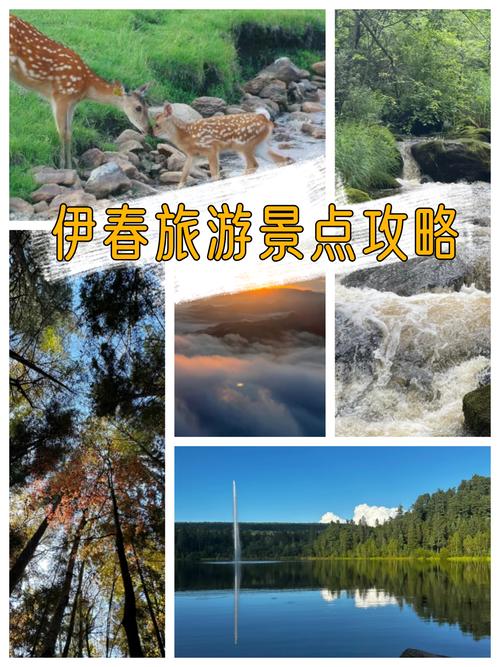 伊春旅游景点攻略自由行哈尔滨,伊春 旅游 攻略-第1张图片-诗丽旅游网 伊春旅游景点攻略自由行哈尔滨,伊春 旅游 攻略-第1张图片-诗丽旅游网