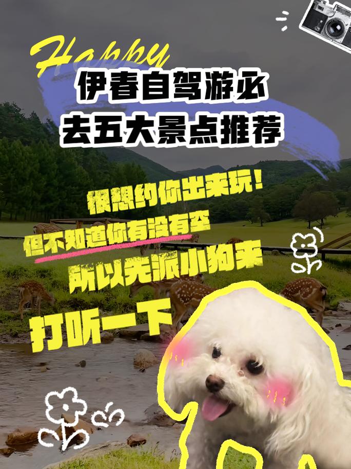 伊春旅游景点攻略自由行哈尔滨,伊春 旅游 攻略-第5张图片-诗丽旅游网 伊春旅游景点攻略自由行哈尔滨,伊春 旅游 攻略-第5张图片-诗丽旅游网