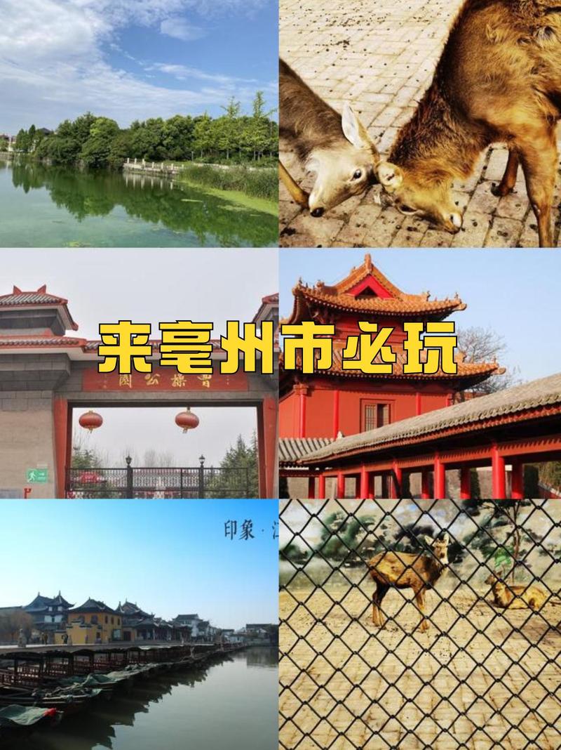 亳州市主要景点有?亳州经典景点?-第4张图片-诗丽旅游网 亳州市主要景点有?亳州经典景点?-第4张图片-诗丽旅游网