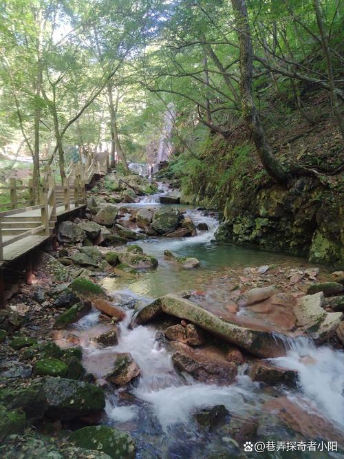 本溪县旅游景点大全,本溪县旅游景点大全排名-第5张图片-诗丽旅游网 本溪县旅游景点大全,本溪县旅游景点大全排名-第5张图片-诗丽旅游网