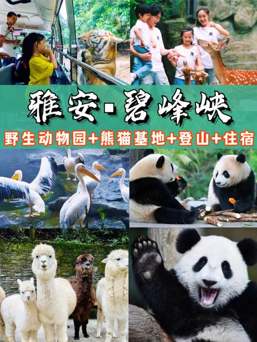 碧峰峡旅游攻略一日游心得感悟,碧峰峡游玩路线?-第1张图片-诗丽旅游网 碧峰峡旅游攻略一日游心得感悟,碧峰峡游玩路线?-第1张图片-诗丽旅游网