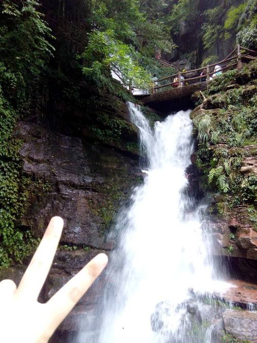 碧峰峡旅游攻略一日游心得感悟,碧峰峡游玩路线?-第5张图片-诗丽旅游网 碧峰峡旅游攻略一日游心得感悟,碧峰峡游玩路线?-第5张图片-诗丽旅游网