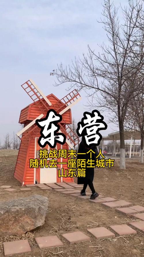 东营风景区旅游攻略?东营风景区旅游攻略一日游?-第4张图片-诗丽旅游网 东营风景区旅游攻略?东营风景区旅游攻略一日游?-第4张图片-诗丽旅游网