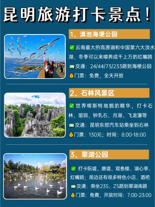 昆明旅游景点攻略自由行酒店,昆明旅游攻略 自助游-第2张图片-诗丽旅游网 昆明旅游景点攻略自由行酒店,昆明旅游攻略 自助游-第2张图片-诗丽旅游网