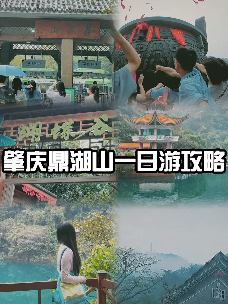 肇庆鼎湖山旅游攻略自驾游,肇庆鼎湖山旅游区-第4张图片-诗丽旅游网 肇庆鼎湖山旅游攻略自驾游,肇庆鼎湖山旅游区-第4张图片-诗丽旅游网