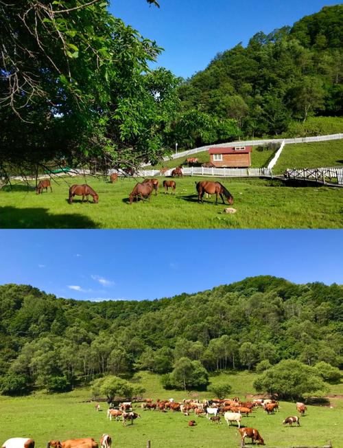 宝鸡旅游攻略自驾游,宝鸡旅游攻略自驾游新景点?-第2张图片-诗丽旅游网 宝鸡旅游攻略自驾游,宝鸡旅游攻略自驾游新景点?-第2张图片-诗丽旅游网