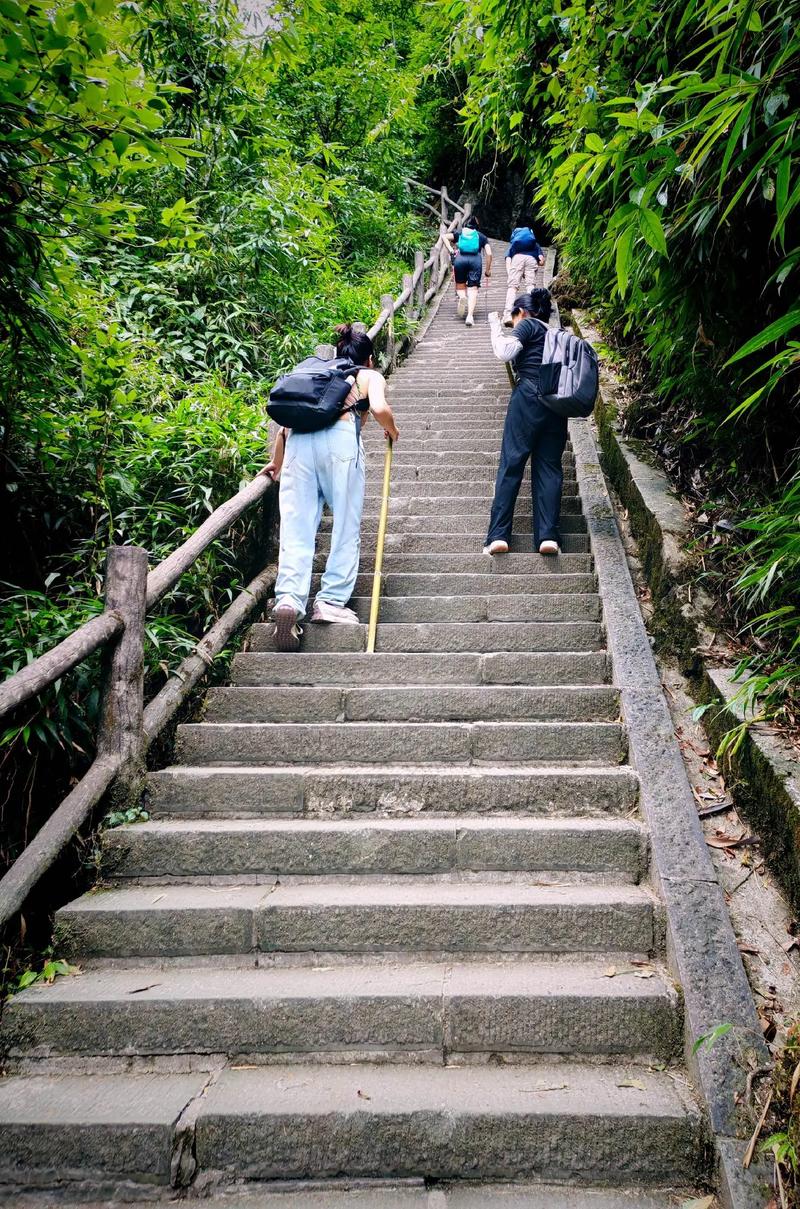 峨眉山的旅游路线,峨眉山的旅游路线图片大全?-第5张图片-诗丽旅游网 峨眉山的旅游路线,峨眉山的旅游路线图片大全?-第5张图片-诗丽旅游网
