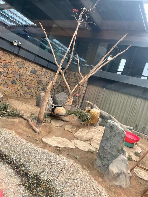 保定三日游最佳路线?保定三日游最佳路线攻略?-第1张图片-诗丽旅游网 保定三日游最佳路线?保定三日游最佳路线攻略?-第1张图片-诗丽旅游网