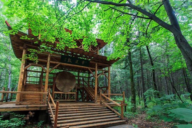 伊春主要旅游景点排名?伊春旅游景点大全排名?-第1张图片-诗丽旅游网 伊春主要旅游景点排名?伊春旅游景点大全排名?-第1张图片-诗丽旅游网