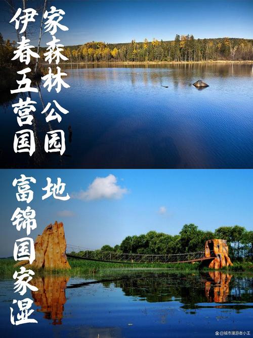 伊春主要旅游景点排名?伊春旅游景点大全排名?-第5张图片-诗丽旅游网 伊春主要旅游景点排名?伊春旅游景点大全排名?-第5张图片-诗丽旅游网