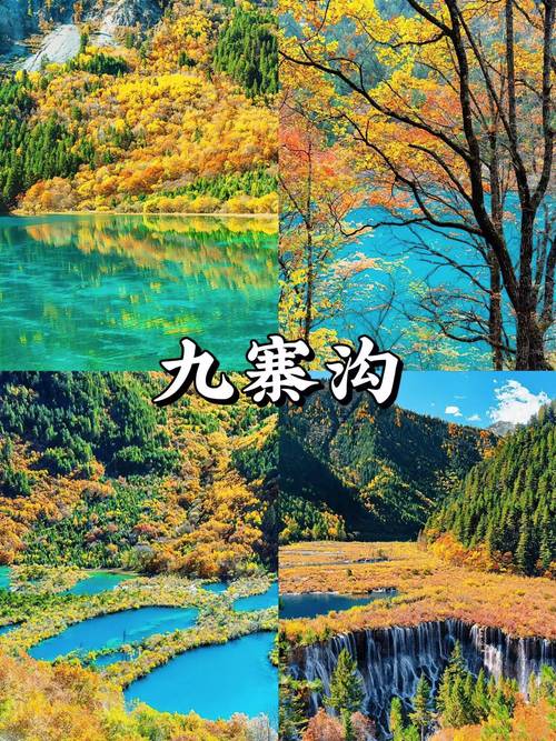 九寨沟旅游攻略一日游路线,九寨沟景区一日游攻略?-第4张图片-诗丽旅游网 九寨沟旅游攻略一日游路线,九寨沟景区一日游攻略?-第4张图片-诗丽旅游网