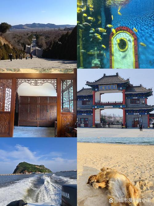 辽宁游玩攻略景点必去的地方,辽宁省旅游攻略景点必去?-第1张图片-诗丽旅游网 辽宁游玩攻略景点必去的地方,辽宁省旅游攻略景点必去?-第1张图片-诗丽旅游网