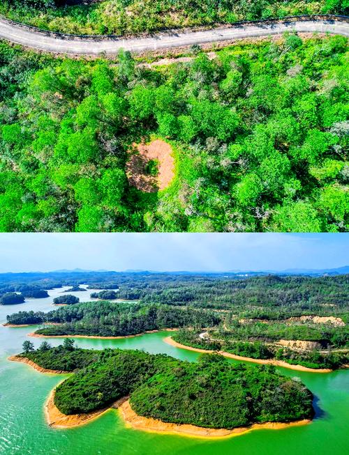 阳江旅游景点大全自驾车旅游路线推荐,阳江旅游攻略自助游?-第2张图片-诗丽旅游网 阳江旅游景点大全自驾车旅游路线推荐,阳江旅游攻略自助游?-第2张图片-诗丽旅游网