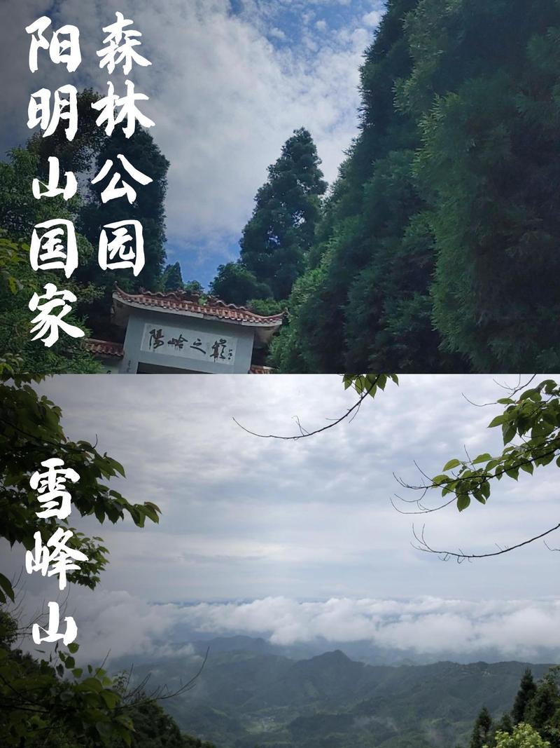 湖南旅游线路设计方案,湖南旅游路线规划ppt-第6张图片-诗丽旅游网 湖南旅游线路设计方案,湖南旅游路线规划ppt-第6张图片-诗丽旅游网