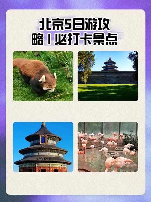 北京五日游旅游线路,北京五日游旅游线路攻略-第6张图片-诗丽旅游网 北京五日游旅游线路,北京五日游旅游线路攻略-第6张图片-诗丽旅游网