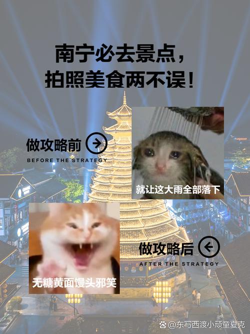 南宁市内旅游攻略必玩的景点,南宁市内旅游攻略必玩的景点推荐-第4张图片-诗丽旅游网 南宁市内旅游攻略必玩的景点,南宁市内旅游攻略必玩的景点推荐-第4张图片-诗丽旅游网