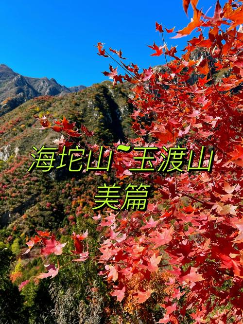 延庆旅游景点自驾游路线推荐?延庆旅游胜地?-第5张图片-诗丽旅游网 延庆旅游景点自驾游路线推荐?延庆旅游胜地?-第5张图片-诗丽旅游网