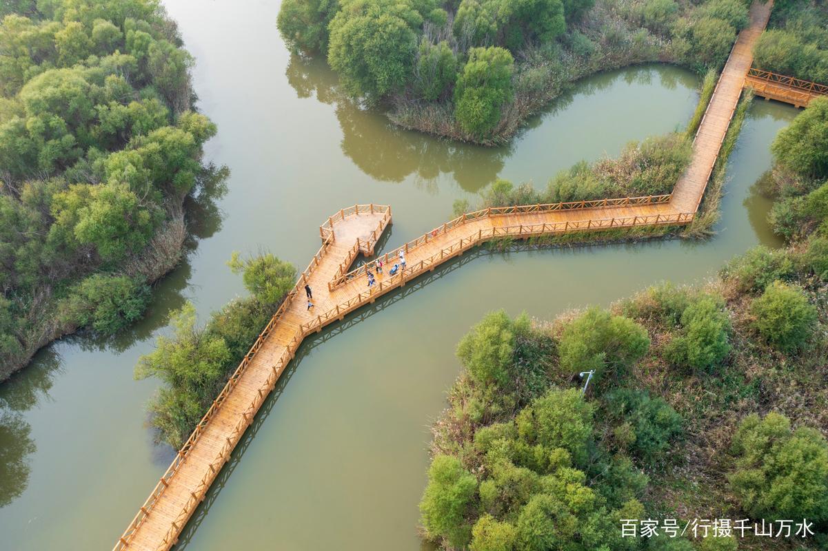 东营旅游景点大全免费路线表,东营旅游攻略必去景点?-第2张图片-诗丽旅游网 东营旅游景点大全免费路线表,东营旅游攻略必去景点?-第2张图片-诗丽旅游网