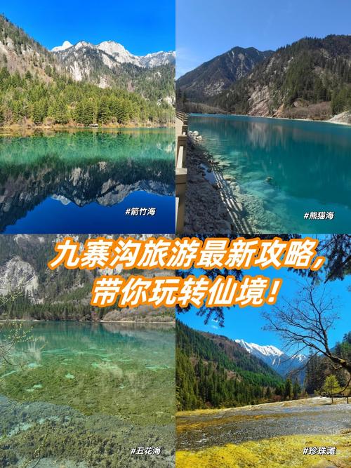 九寨旅游线路?九寨旅游线路推荐?-第5张图片-诗丽旅游网 九寨旅游线路?九寨旅游线路推荐?-第5张图片-诗丽旅游网