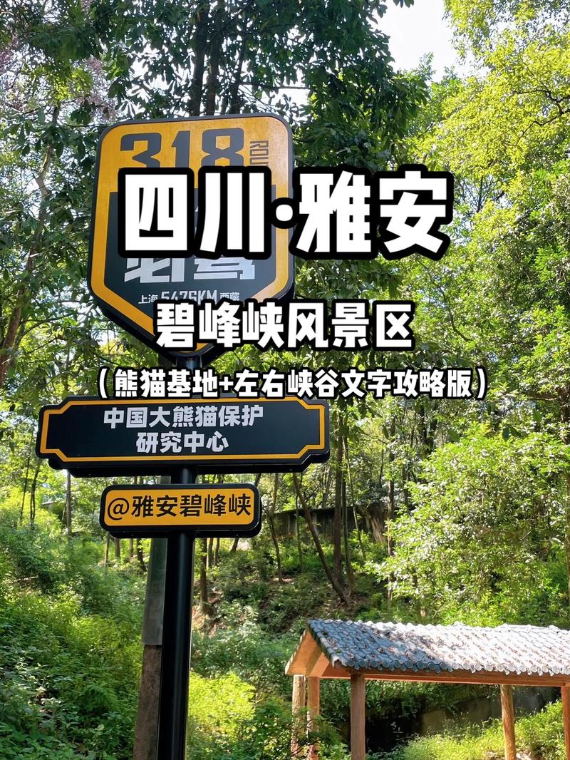 碧峰峡风景区游览路线攻略？碧峰峡游玩攻略一日游？-第6张图片-诗丽旅游网