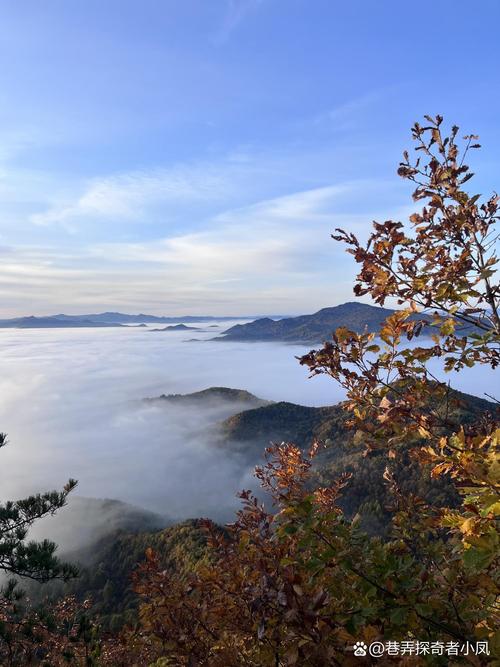 伊春旅游攻略自由行路线?伊春旅游攻略自由行路线图?-第1张图片-诗丽旅游网 伊春旅游攻略自由行路线?伊春旅游攻略自由行路线图?-第1张图片-诗丽旅游网