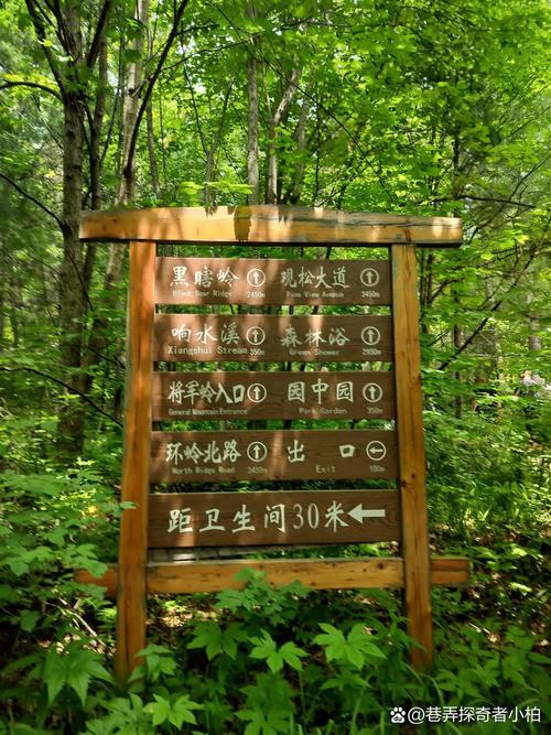 伊春旅游攻略自由行路线?伊春旅游攻略自由行路线图?-第2张图片-诗丽旅游网 伊春旅游攻略自由行路线?伊春旅游攻略自由行路线图?-第2张图片-诗丽旅游网