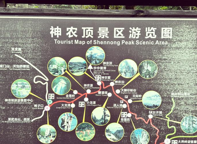 湖北神农架旅游区景点有哪些,湖北神农架旅游好玩吗?-第6张图片-诗丽旅游网 湖北神农架旅游区景点有哪些,湖北神农架旅游好玩吗?-第6张图片-诗丽旅游网