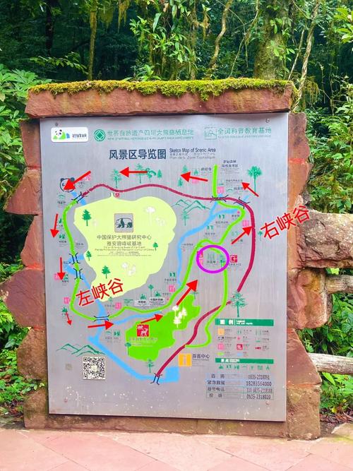 碧峰峡一日游攻略路线,碧峰峡一日游攻略路线图?-第3张图片-诗丽旅游网 碧峰峡一日游攻略路线,碧峰峡一日游攻略路线图?-第3张图片-诗丽旅游网