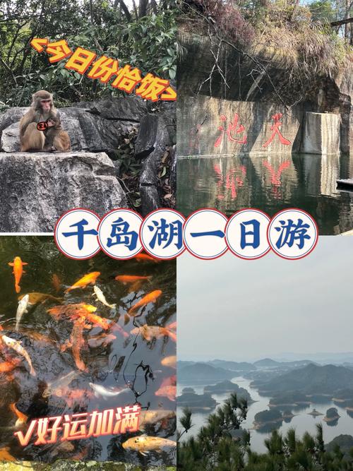 千岛湖旅游线路推荐一下,千岛湖沿途旅游景点-第5张图片-诗丽旅游网 千岛湖旅游线路推荐一下,千岛湖沿途旅游景点-第5张图片-诗丽旅游网