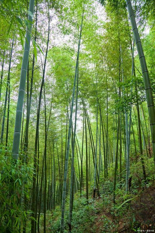 溧阳旅游必去前十景点排名?溧阳旅游景点在哪里?-第3张图片-诗丽旅游网 溧阳旅游必去前十景点排名?溧阳旅游景点在哪里?-第3张图片-诗丽旅游网